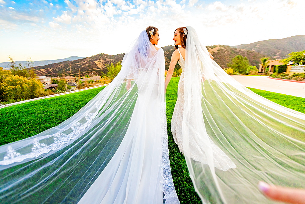 Newlyweds first look post wedding ceremony, Corona, California, United States of America, North America