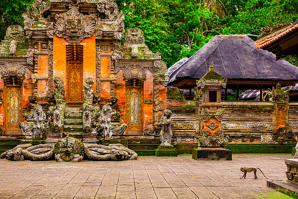 The Sacred Monkey Forest, home to 700 monkeys, Ubud, Bali, Indonesia, Southeast Asia, Asia