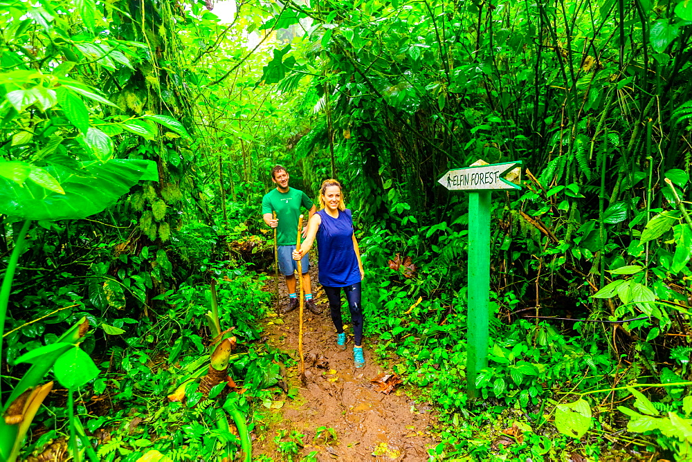 Couple and woman hiking through the jungle on Saba Island, Netherlands Antilles, West Indies, Caribbean, Central America