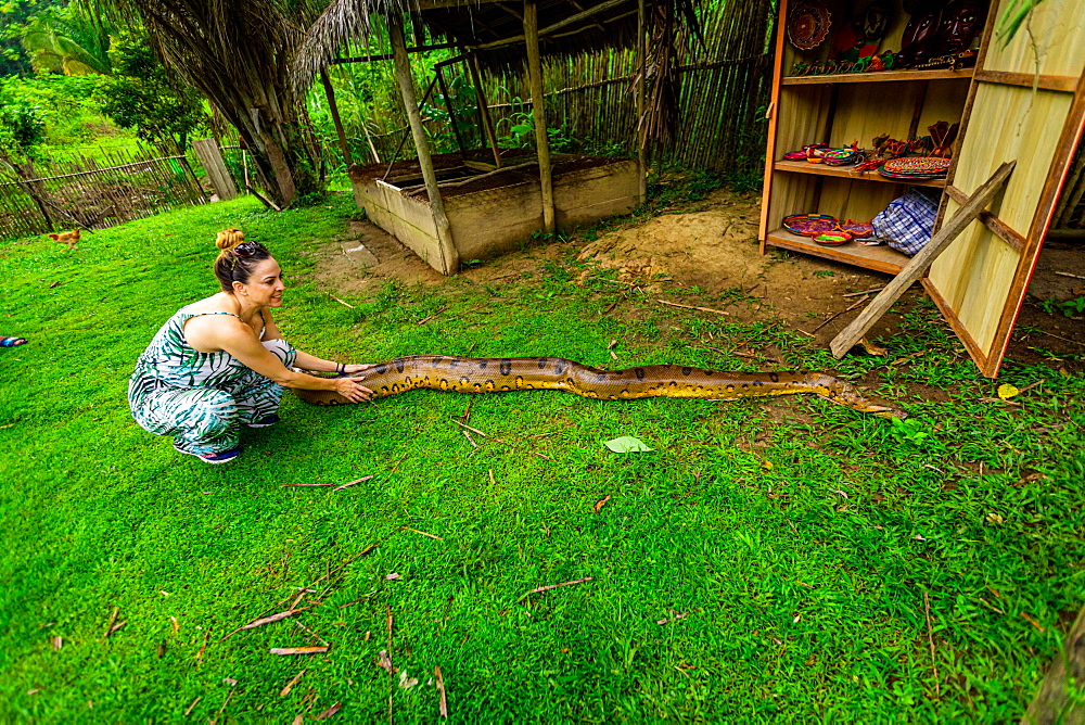 Woman touching giant Anaconda that was found at a local village, Peru, South America