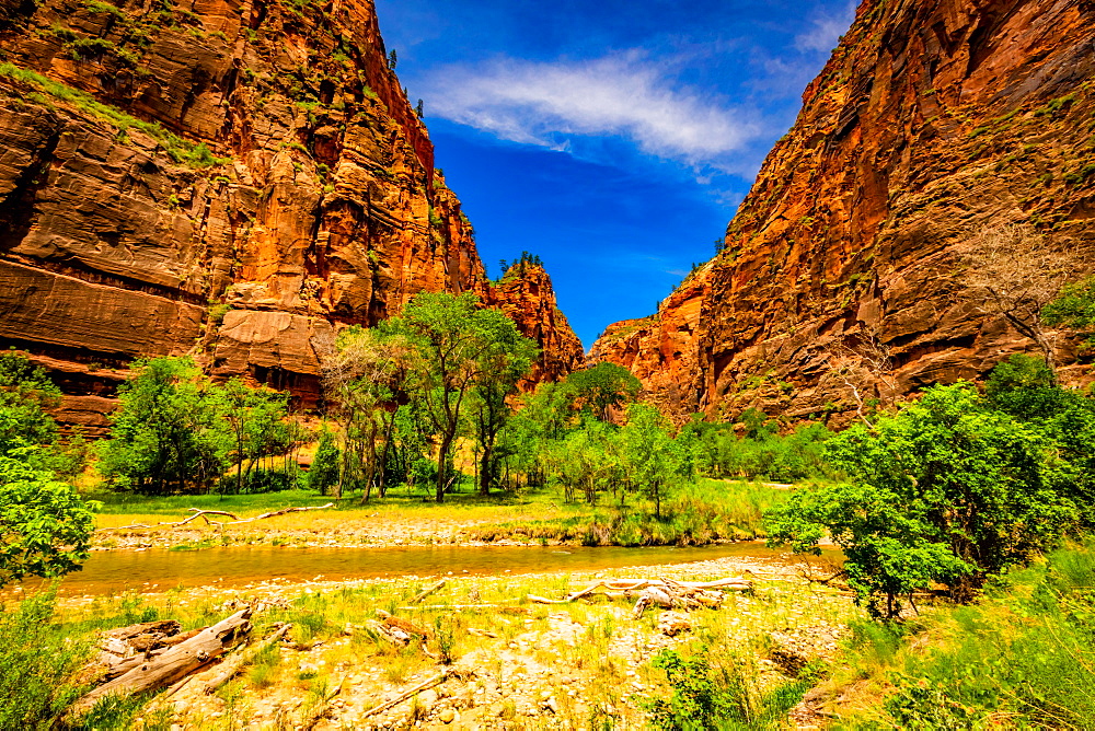 Beautiful scenery at Zion National Park, Utah, United States of America, North America