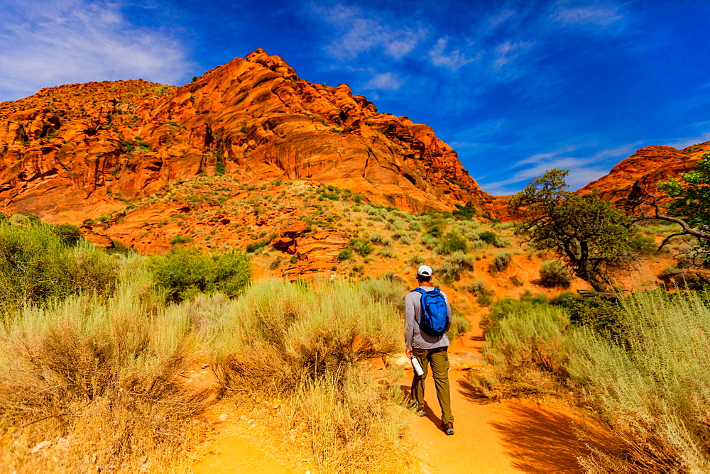 Man hiking along the Red Reef Trail, Red Cliffs National Conservation Area, Utah, United States of America, North America