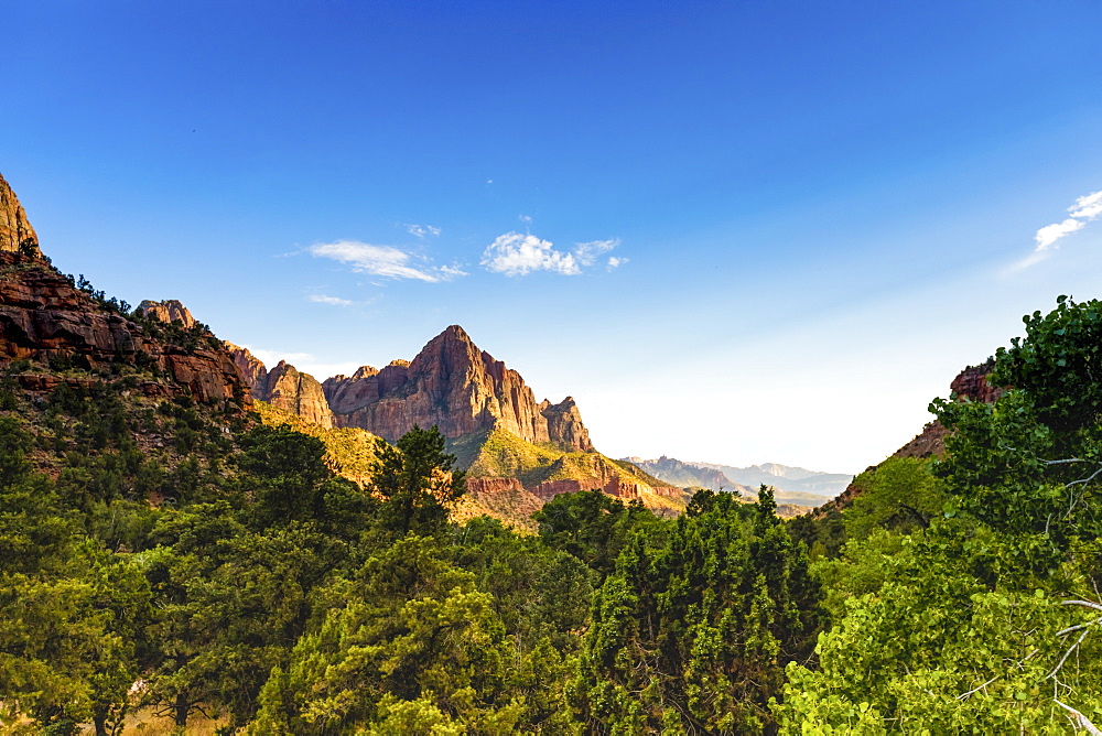 Scenic view in Zion National Park, Utah, United States of America, North America