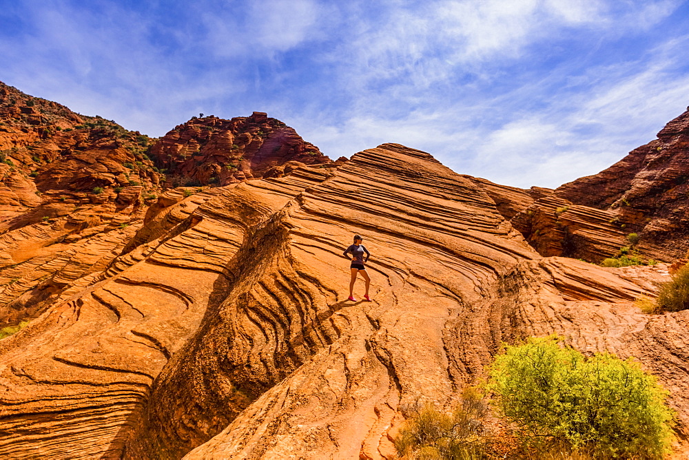 Woman hiking around the Zion National Park, Utah, United States of America, North America