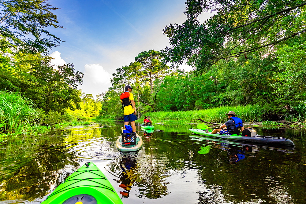 Kayaking through Cane Bayou, New Orleans, Louisiana, United States of America, North America