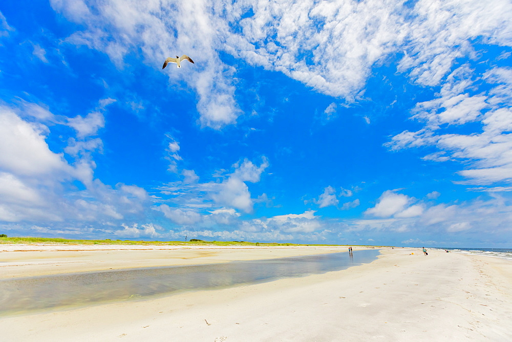 White sand beaches on Ship Island, Gulf Coast, Mississippi, United States of America, North America