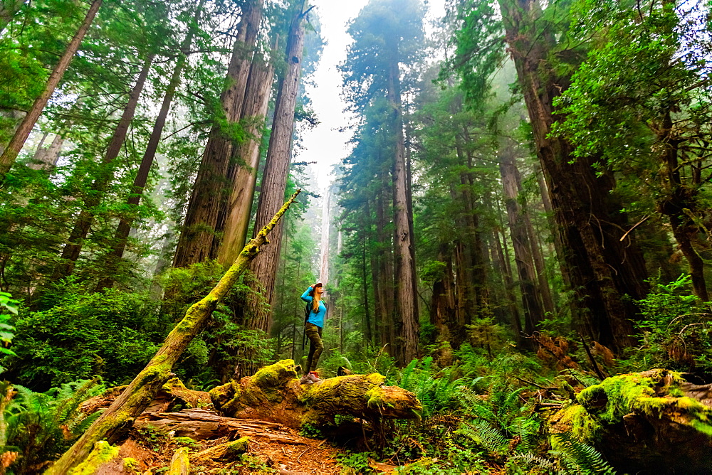 Woman exploring Mount Shasta Forest, California, United States of America, North America