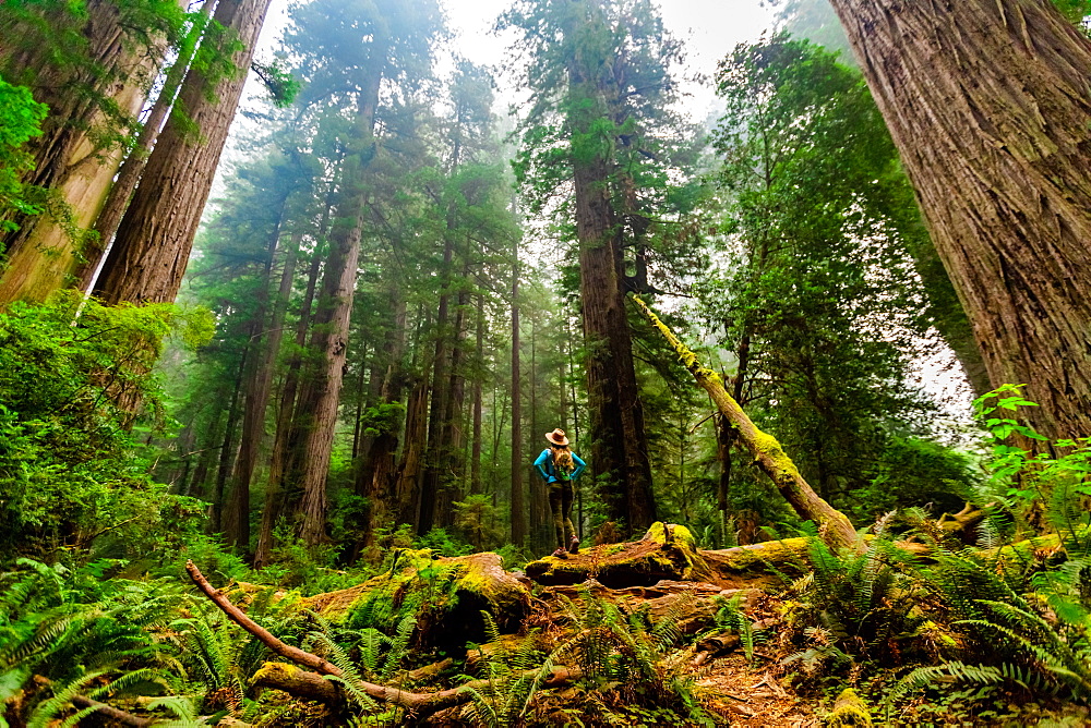 Woman exploring Mount Shasta Forest, California, United States of America, North America