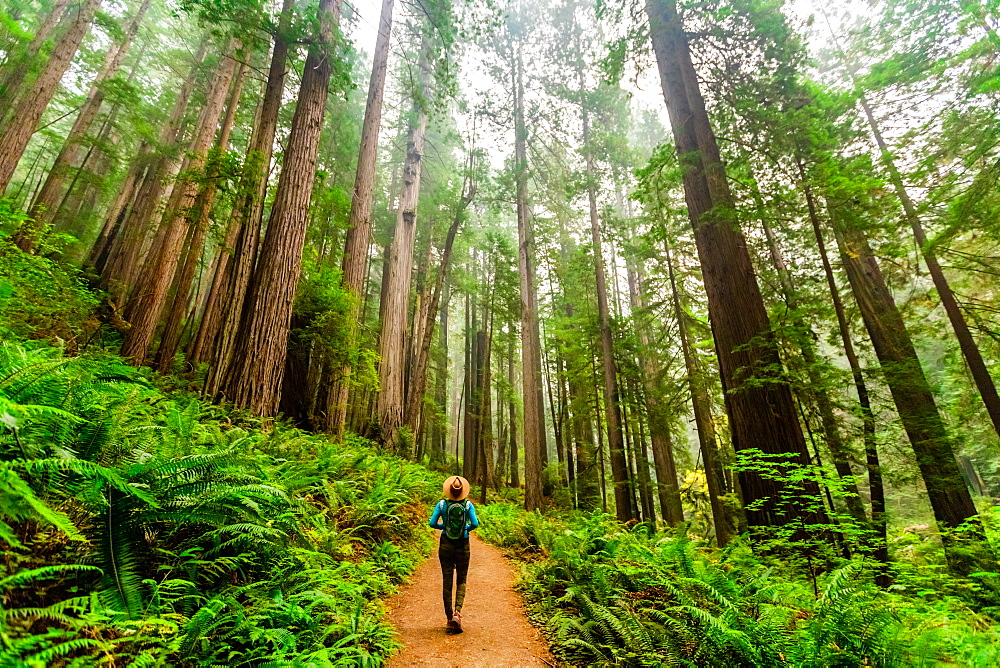 Woman exploring Mount Shasta Forest, California, United States of America, North America