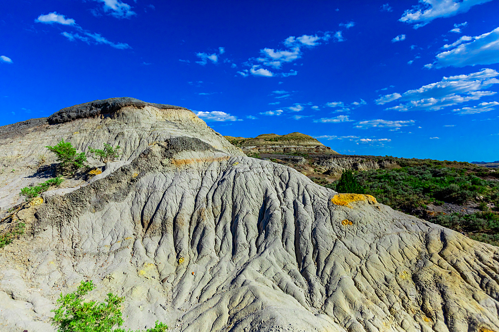 Beautiful sight on The Petrified Forest Loop Trail inside Theodore Roosevelt National Park, North Dakota, United States of America, North America