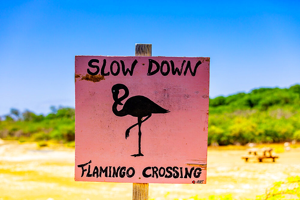 Slow down Flamingo crossing sign, Bonaire, Netherlands Antilles, Caribbean, Central America