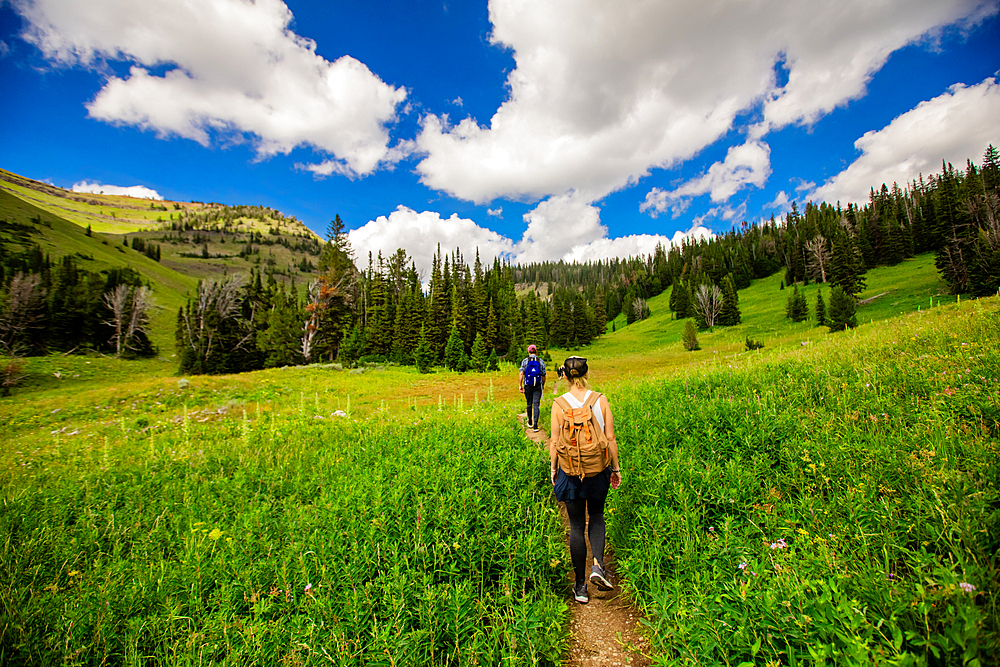 Walkers on Grand Teton National Park trails, Wyoming, United States of America, North America