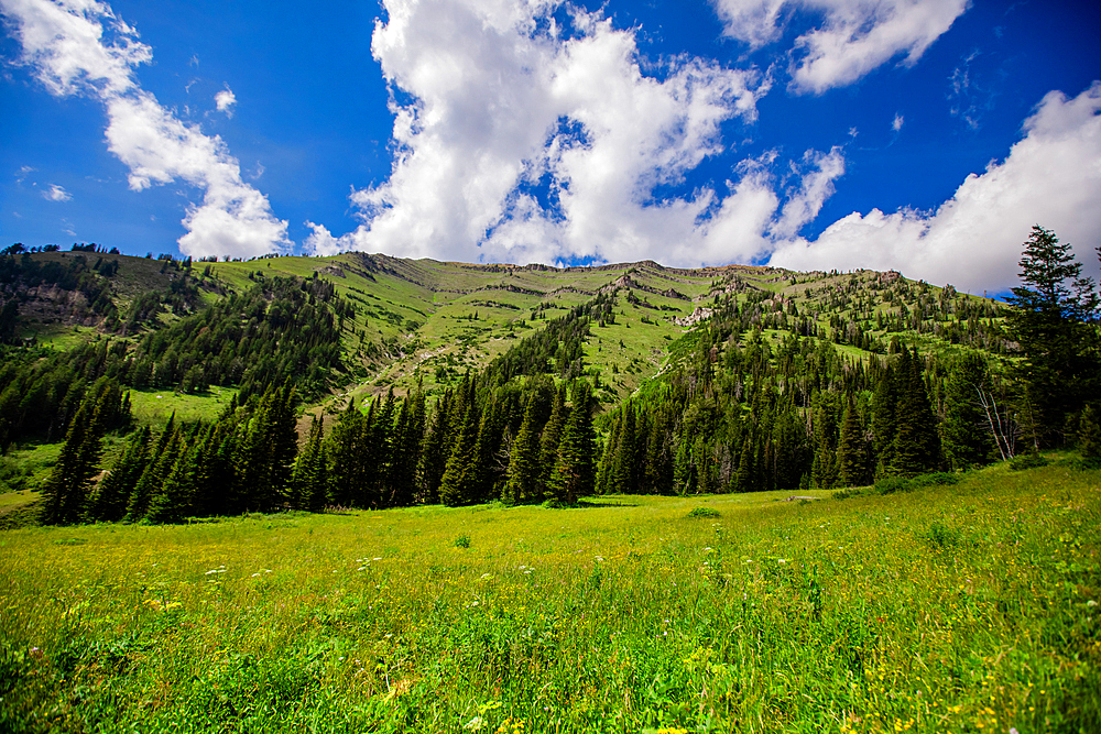 Grand Teton National Park hills, Jackson, Wyoming, United States of America, North America