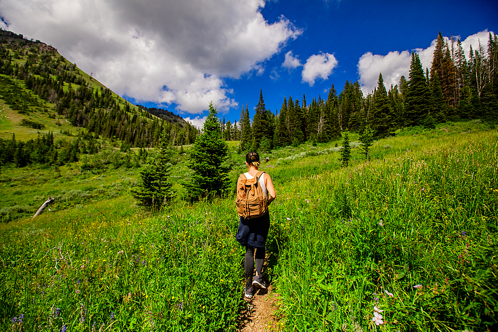 Walkers on Grand Teton National Park trails, Wyoming, United States of America, North America