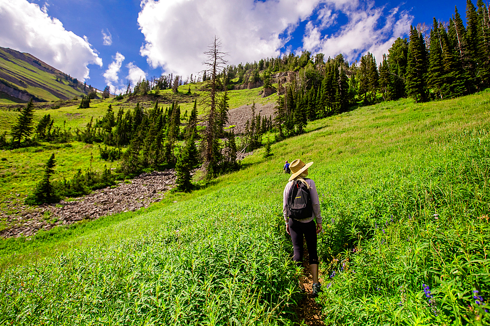 Walkers on Grand Teton National Park trails, Wyoming, United States of America, North America