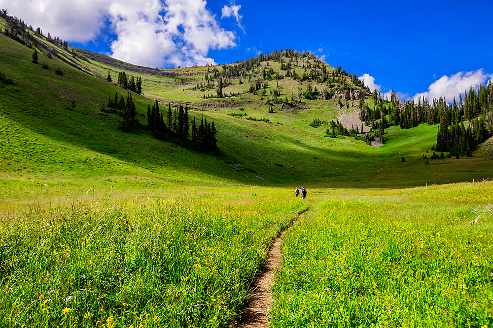 Grand Teton National Park trails, Wyoming, United States of America, North America