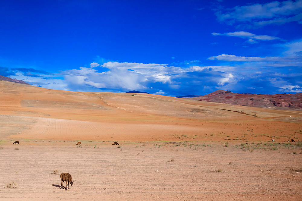 Peruvian landscape, Peru, South America