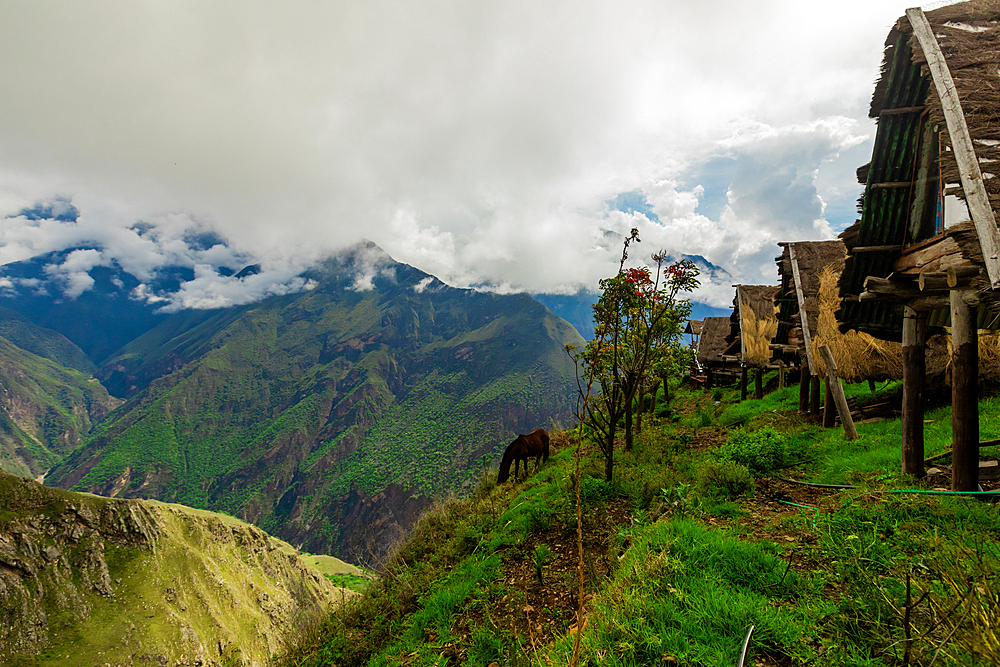 Camping at Choquequirao, Peru, South America