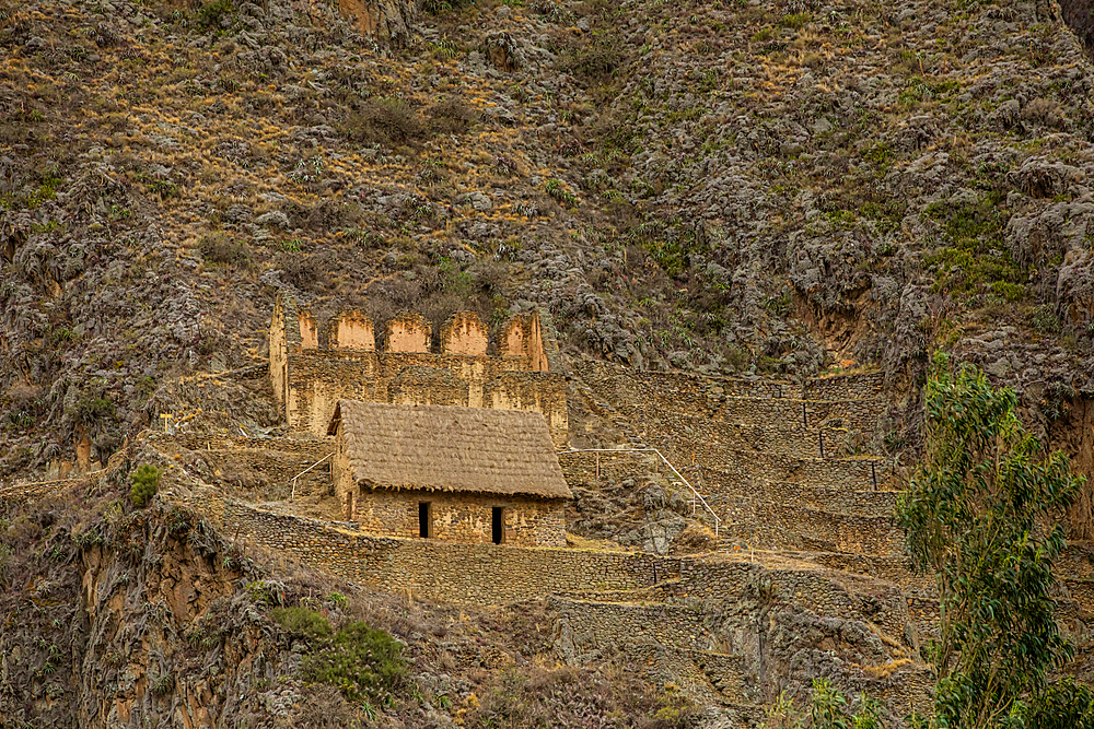 Ollantaytambo agricultural terraces, Peru, South America