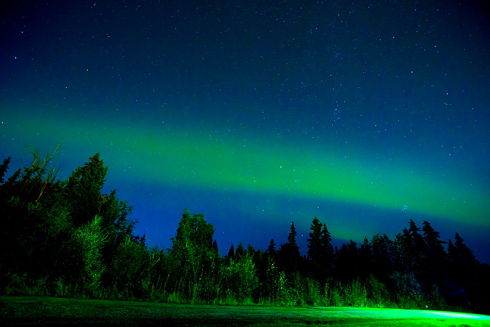 Aurora Borealis (Northern Lights) viewed from Denali Princess Wilderness Lodge, Alaska, United States of America, North America