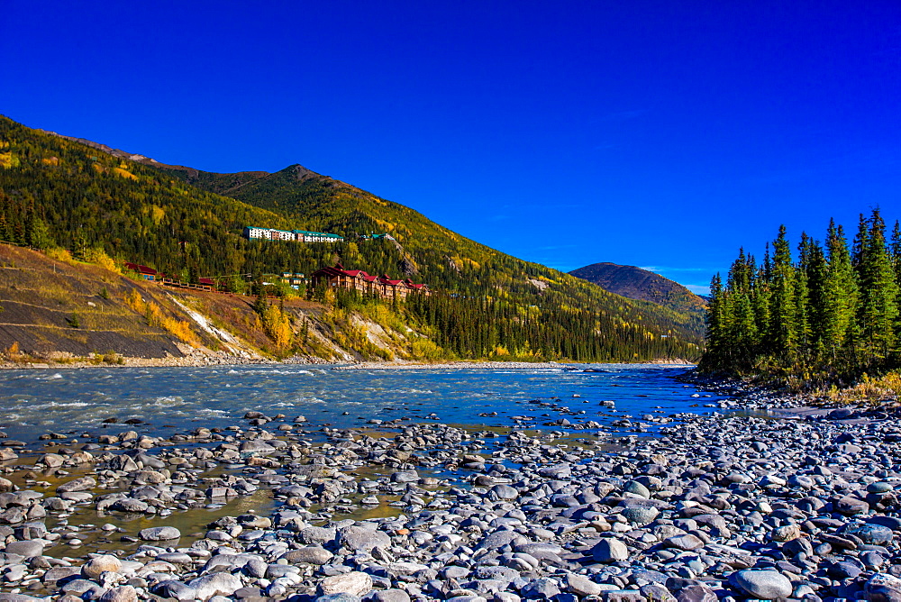 Horseshoe Lake Trail, Denali National Park, Alaska, United States of America, North America