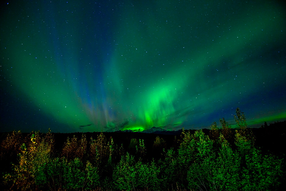 Aurora Borealis (Northern Lights) viewed from Denali Princess Wilderness Lodge, Denali National Park, Alaska, United States of America, North America