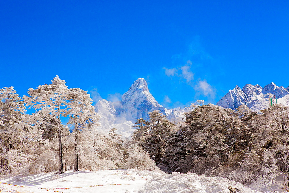 Peak of Mount Everest with snow covered forest, Himalayas, Nepal, Asia