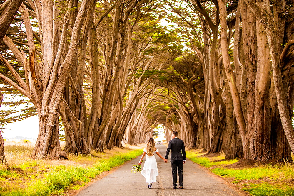 Couple in engagement dress, Marin, California, United States of America, North America