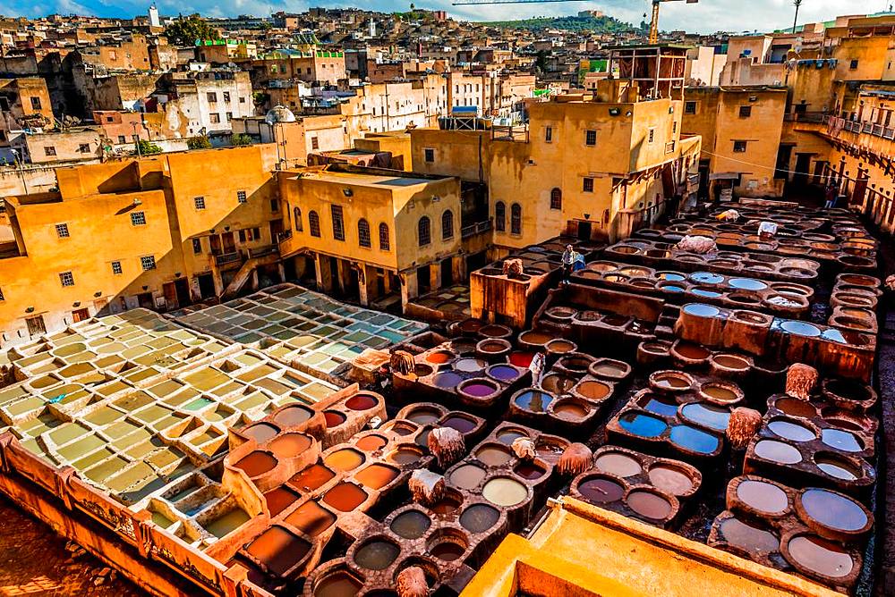 Dyeing vats, Tanneries, Fez, Morocco, North Africa, Africa