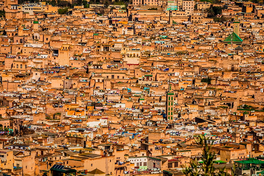 Fez, Morocco, North Africa, Africa