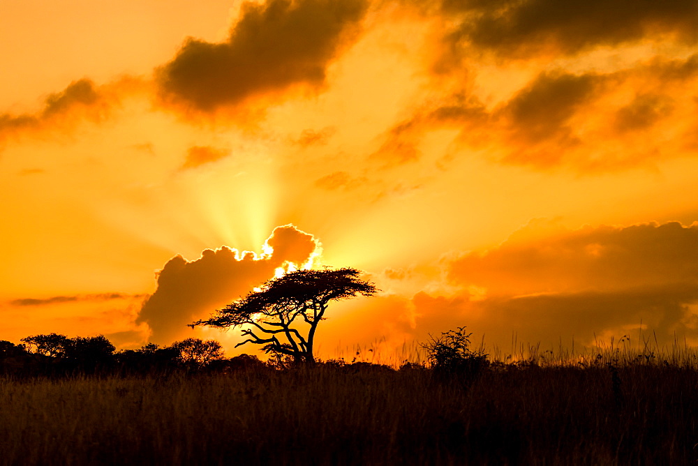 Sunset, Zululand, South Africa, Africa