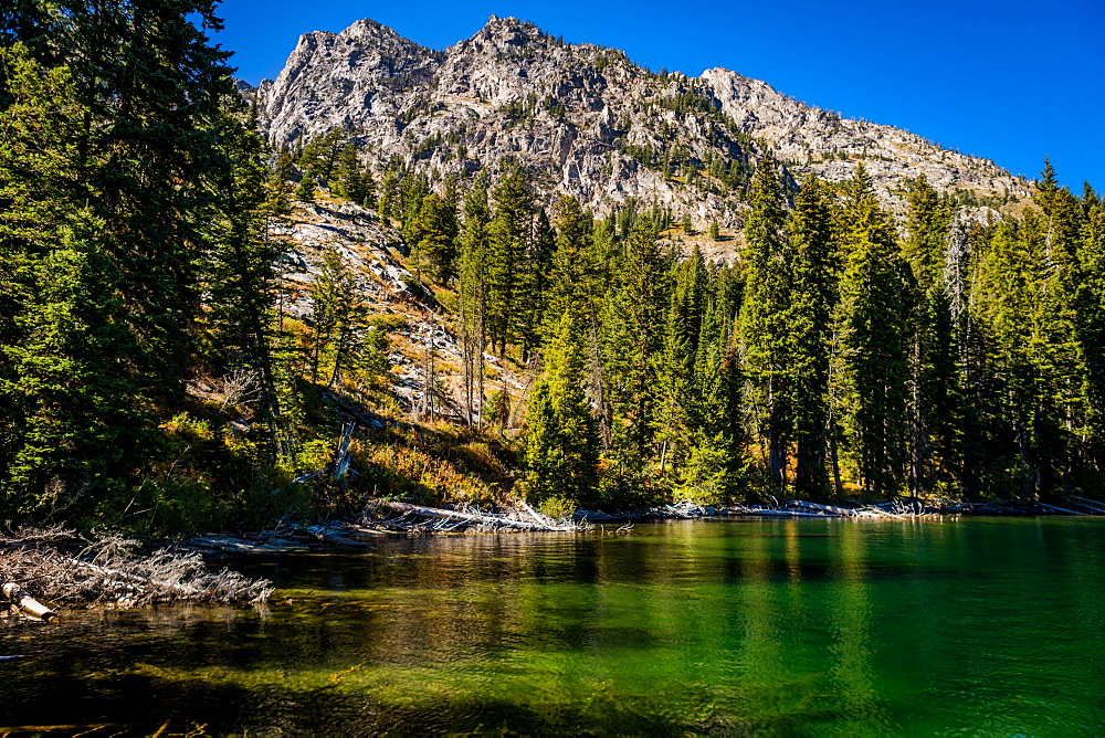 Pretty scenic views in Yellowstone National Park, UNESCO World Heritage Site, Wyoming, United States of America, North America