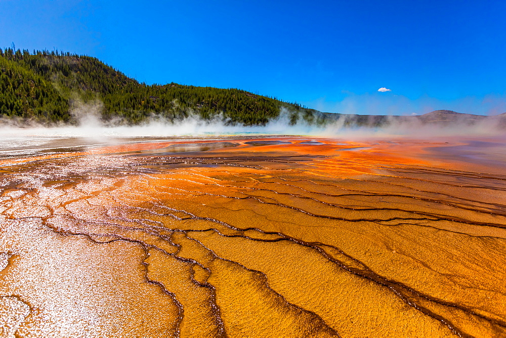 Grand Prismatic Spring, Yellowstone National Park, UNESCO World Heritage Site, Wyoming, United States of America, North America