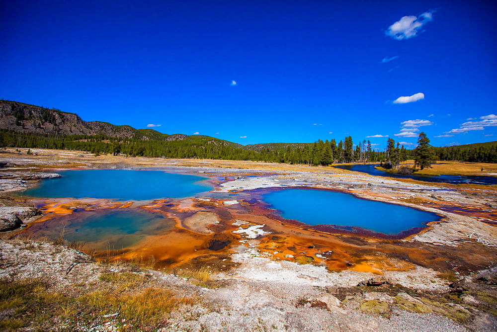 Grand Prismstic Spring, Yellowstone National Park, UNESCO World Heritage Site, Wyoming, United States of America, North America