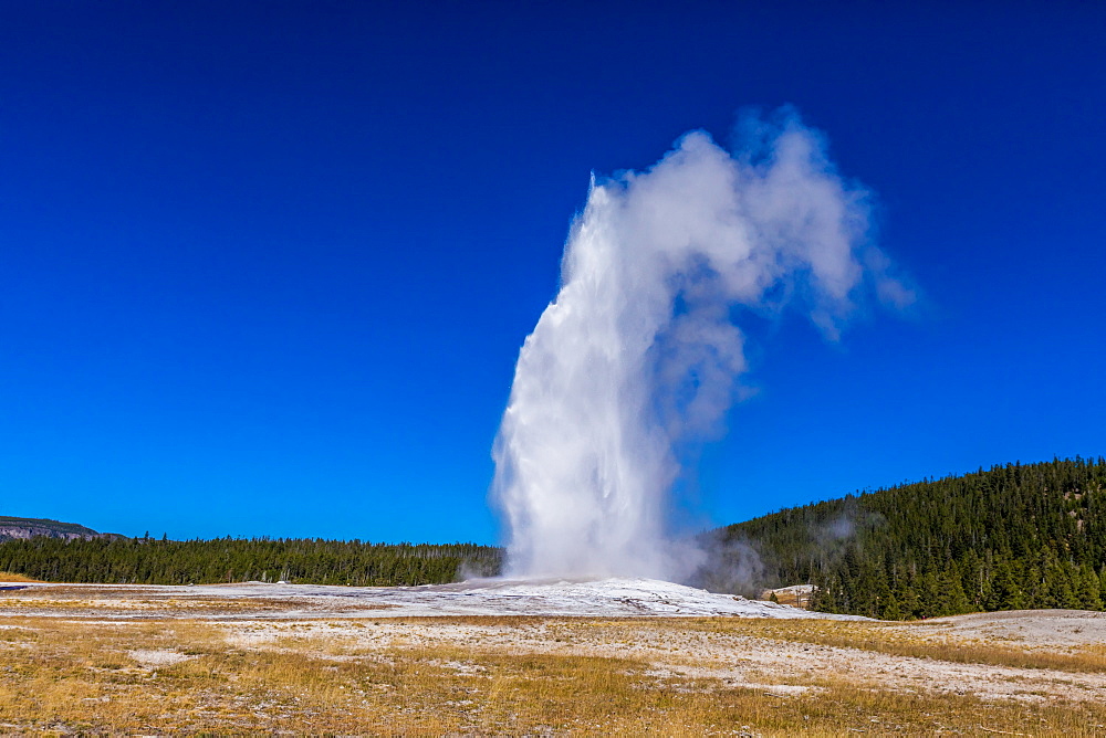 Old Faithful, a cone geyser, Yellowstone National Park, UNESCO World Heritage Site, Wyoming, United States of America, North America