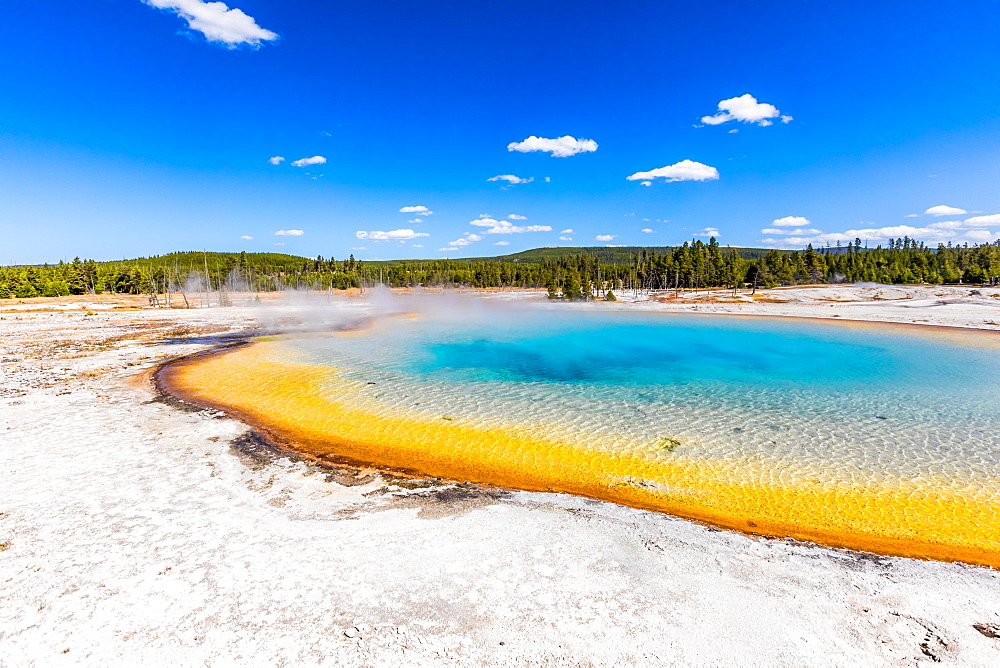 Rainbow Geyser and surreal the colors that the different bacteria create in these geysers, Yellowstone National Park, UNESCO World Heritage Site, Wyoming, United States of America, North America