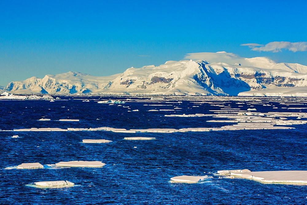 Scenic view of the glacial ice and floating icebergs in Antarctica, Polar Regions