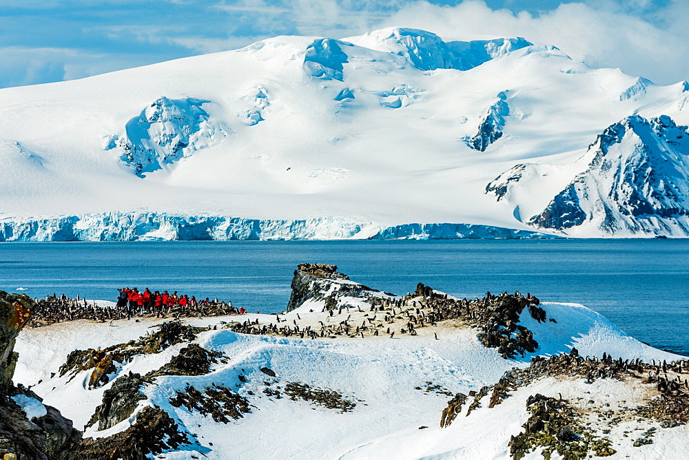 Scenic view of Antarctica, Chinstrap Penguins and people roaming around the ice, Antarctica, Polar Regions