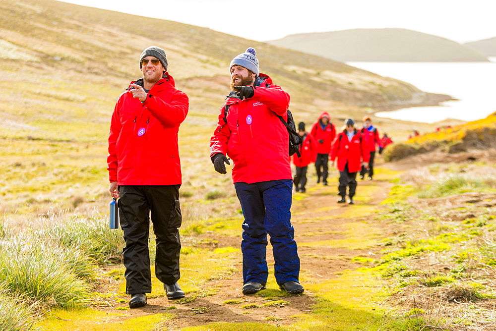 Exploring New Island on the Falkland Islands, South America