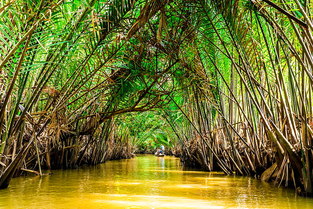 Sailing through the tributaries of the Mekong River, Vietnam, Indochina, Southeast Asia, Asia