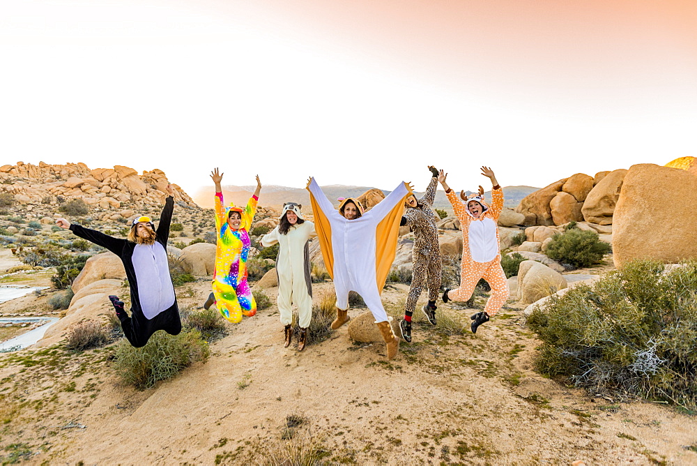 Group of friends in spirit animal onesies celebrating the new year in Joshua Tree, California, United States of America, North America