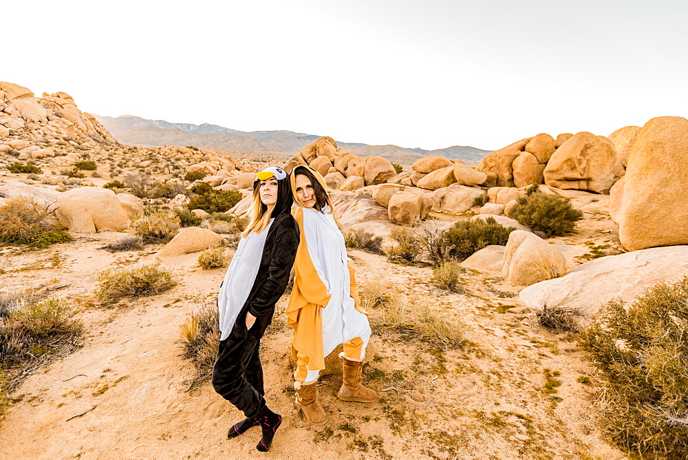 Two friends in spirit animal onesies celebrating the new year in Joshua Tree, California, United States of America, North America