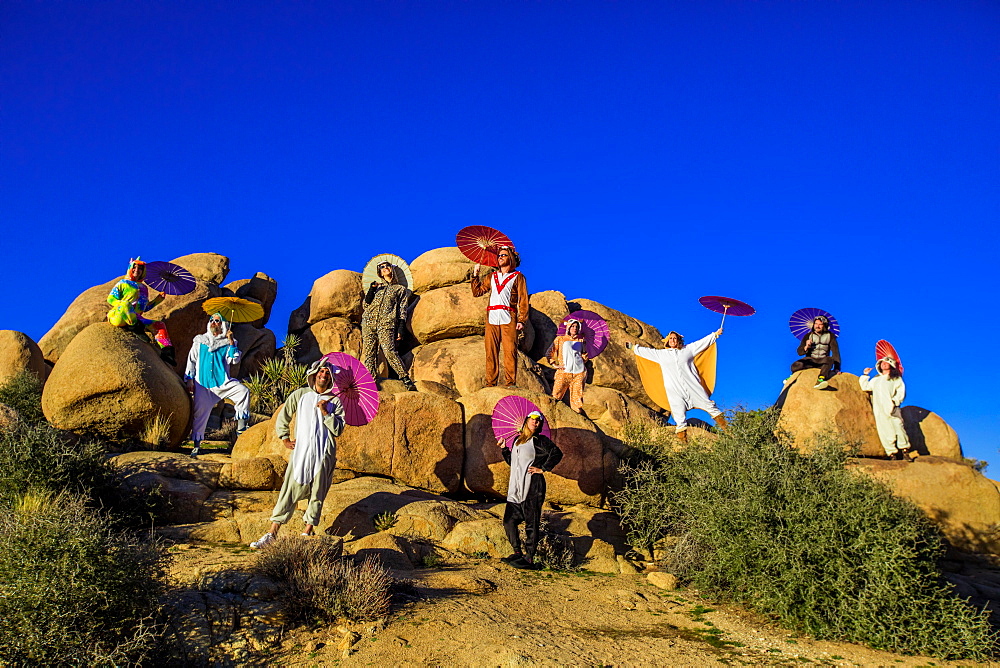 Group of friends in spirit animal onesies celebrating the new year in Joshua Tree, California, United States of America, North America