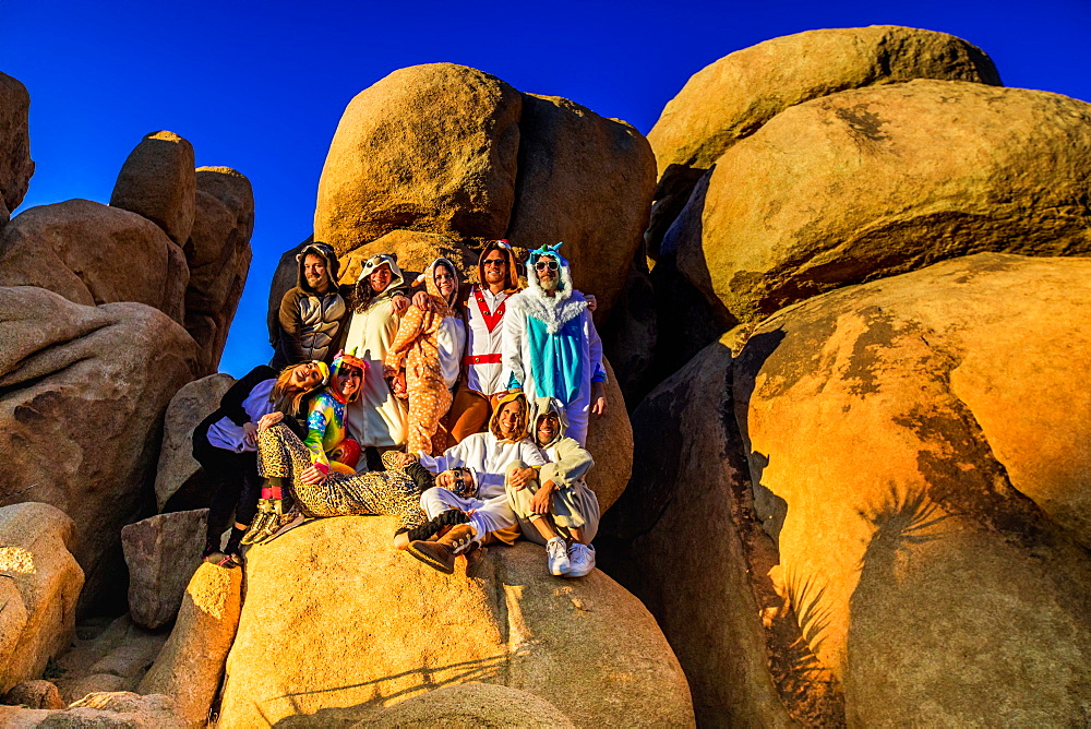 Group of friends in spirit animal onesies celebrating the new year in Joshua Tree, California, United States of America, North America