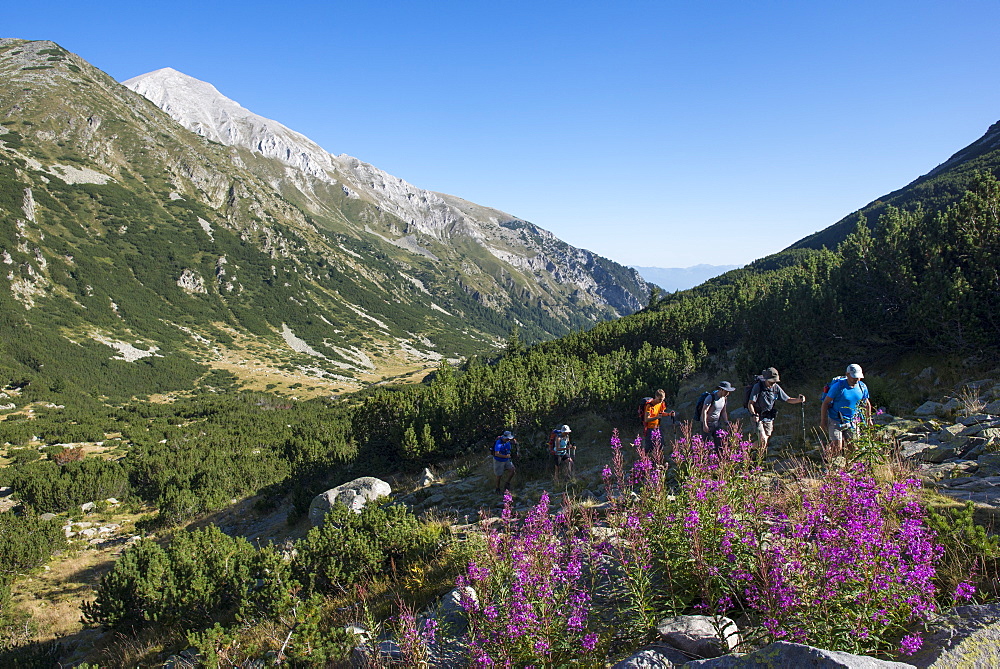 The Pirin mountains with Vihren peak distant, the highest point in the range, Bulgaria, Europe