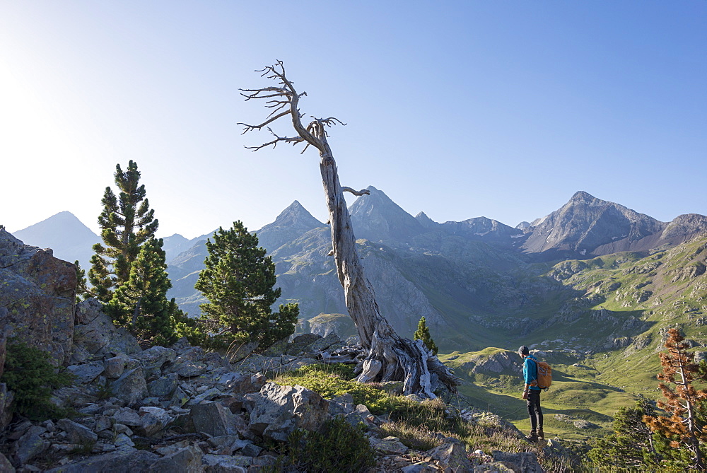 A walker takes in a view of the Pyrenees from near Refugio Respomuso along the GR11 long distance trekking path, Huesca, Spain, Europe