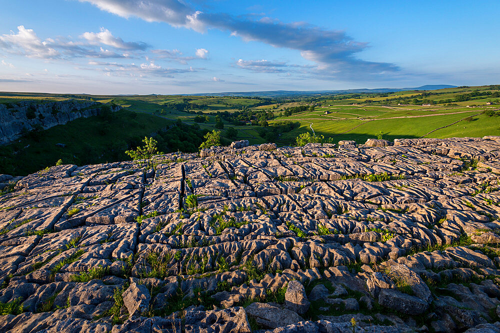 Evening light shows dramatic surface of the famous Limestone Pavement at Malham Cove in the Yorkshire Dales National Park, Yorkshire, England, United Kingdom, Europe