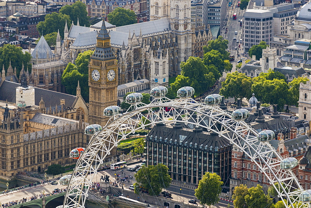 The London Eye and Jubilee Gardens with the Houses of Parliament in the distance, London, England, United Kingdom, Europe