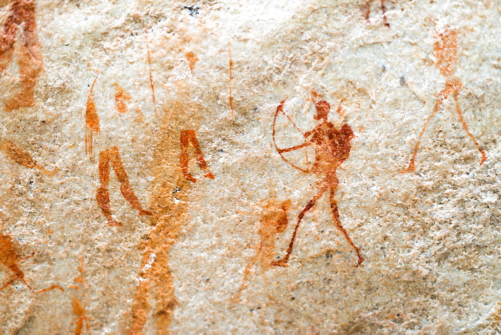 San rock art cave paintings on the wall of a rocky overhang in the Cederberg, Western Cape, South Africa, Africa