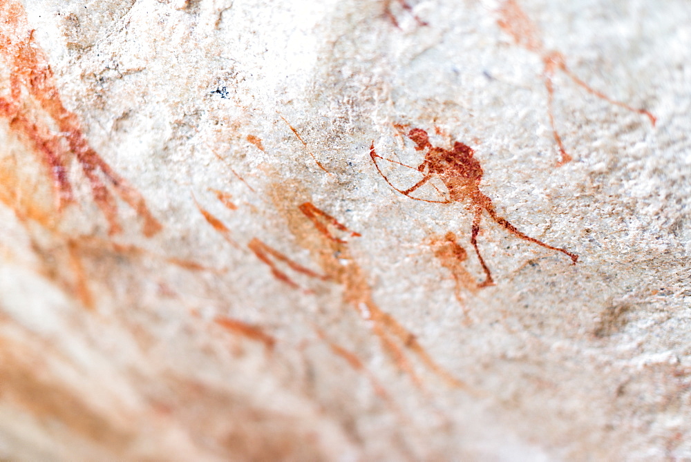 San rock art cave paintings on the wall of a rocky overhang in the Cederberg, Western Cape, South Africa, Africa